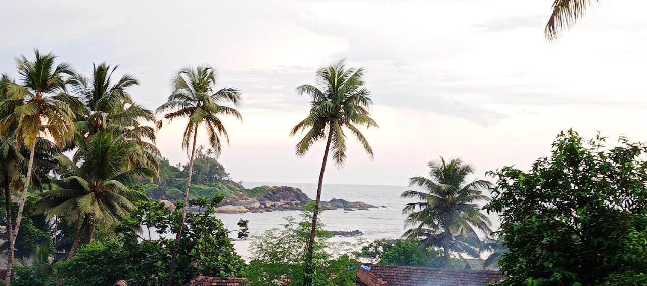 Shiv Sai Huts Hotel Canacona Luaran gambar